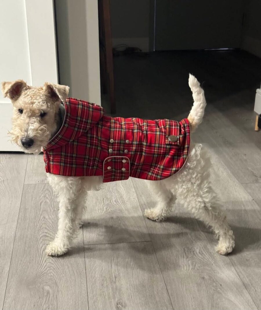 TOP product: Warm Plaid Dog Coat - Image 16