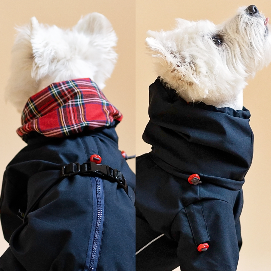 Dog raincoats wearing westies with plaid snood and black snood