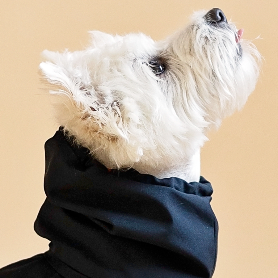 Dog raincoat snood black