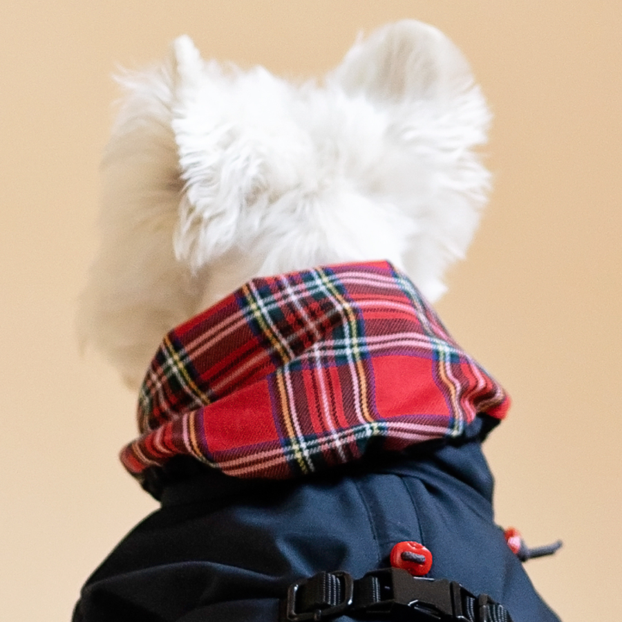 Dog raincoat snood plaid