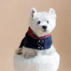 westie white dog stnading on white fur puff wearing navy jeans coat with plaid hood in beige background