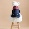 British Jeans Dog COAT with Plaid Hood or Collar - Image 2