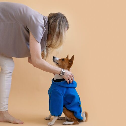 Fleece-dog-sweater-designer-dog-hoodie-winter-dog-outfit-ciuciu-bestdograincoats-basenji