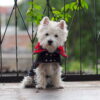 Jeans dog coat on a cute westie. Scottish details.