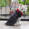 Jeans dog coat on a cute westie. Scottish details.