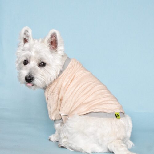 westie dog sitting and looking back in blue background wearing pink linen dog tshirt made by ciuciu