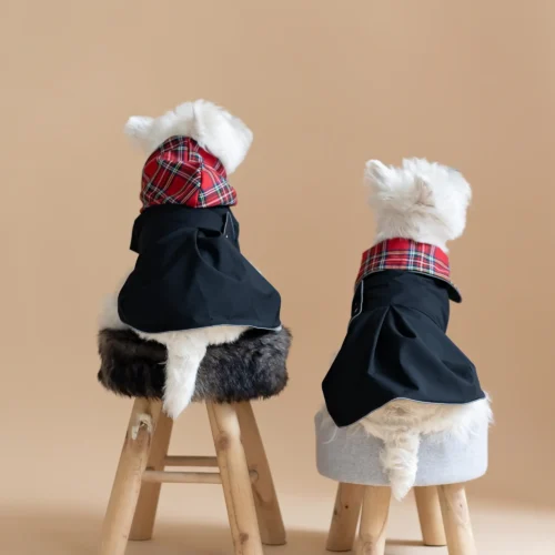 Two white dogs sitting on fur chairs wearing Waterproof Dog Coat-Dress With Plaid Hood or Collar