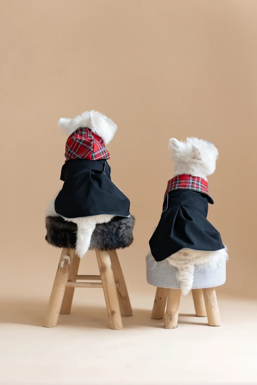 Two white dogs sitting on fur chairs wearing Waterproof Dog Coat-Dress With Plaid Hood or Collar