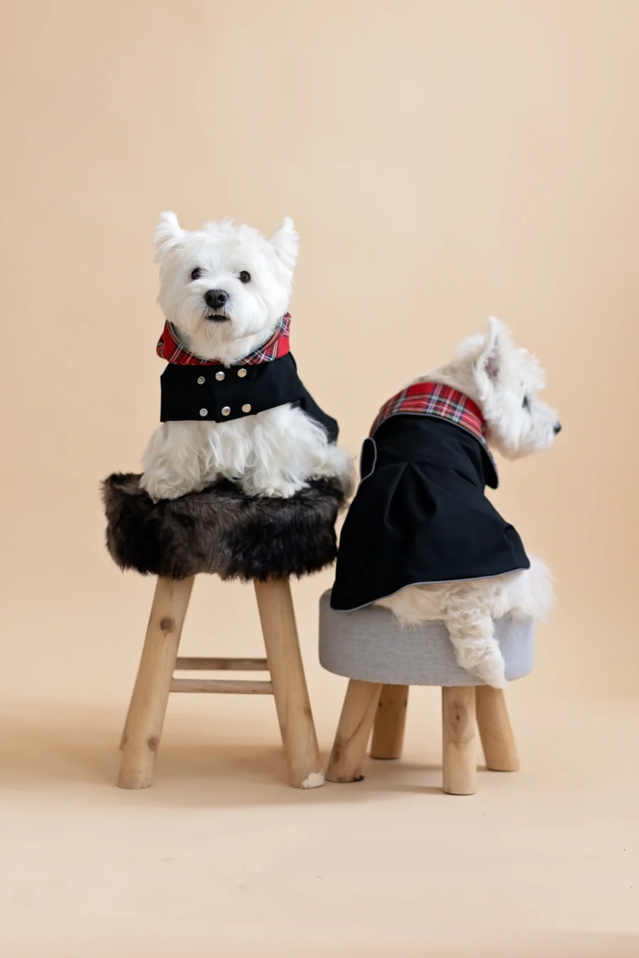 Two white dogs sitting on fur chairs wearing Waterproof Dog Coat-Dress With Plaid Hood or Collar