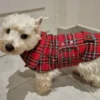 plaid-scottish-dog-coat-ciuciu-bestdograincoats