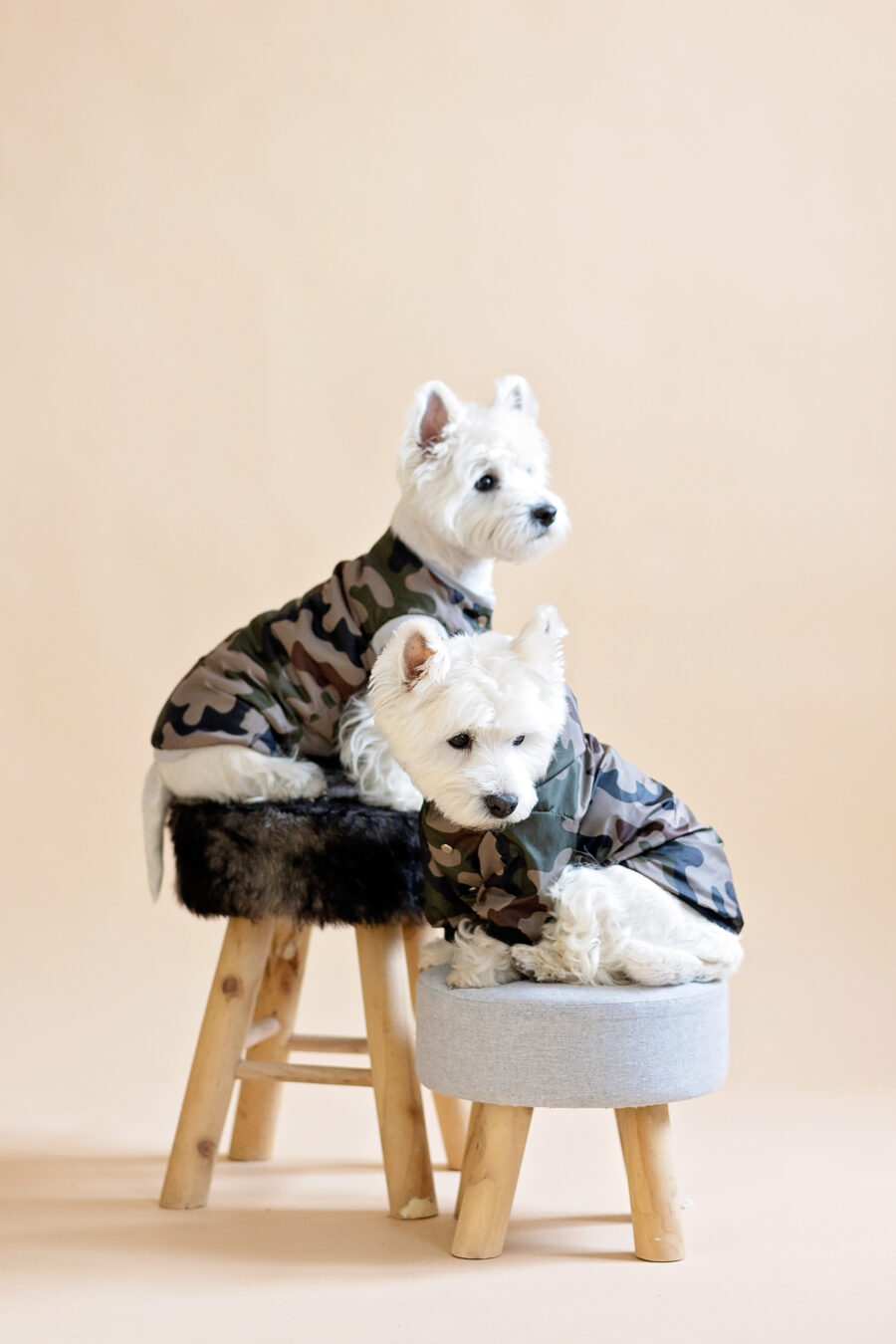 camouflage-dog-clothes-westie-vest-rainwear-for-dogs-ciuciu-bestdograincoats