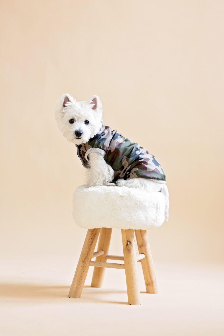 camouflage-dog-clothes-westie-vest-rainwear-for-dogs-ciuciu-bestdograincoats