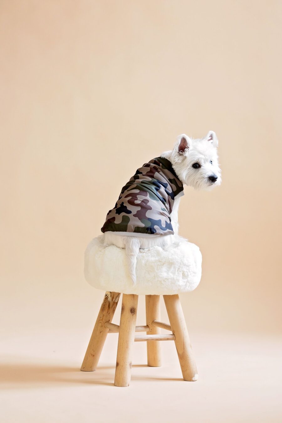 camouflage-dog-clothes-westie-vest-rainwear-for-dogs-ciuciu-bestdograincoats