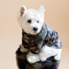 Westie sitting in beige background wearing camouflage jacket made by ciuciu