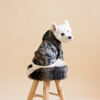Westie sitting in beige background wearing camouflage jacket made by ciuciu