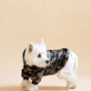 Westie sitting in beige background wearing camouflage jacket made by ciuciu