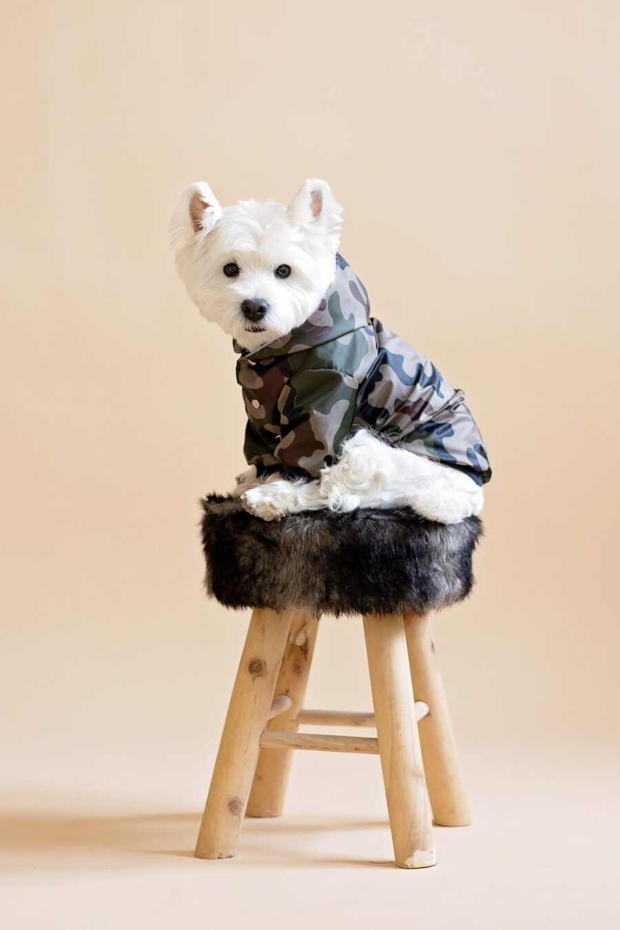 Camouflage Small Dog Jacket with Hood - Image 2