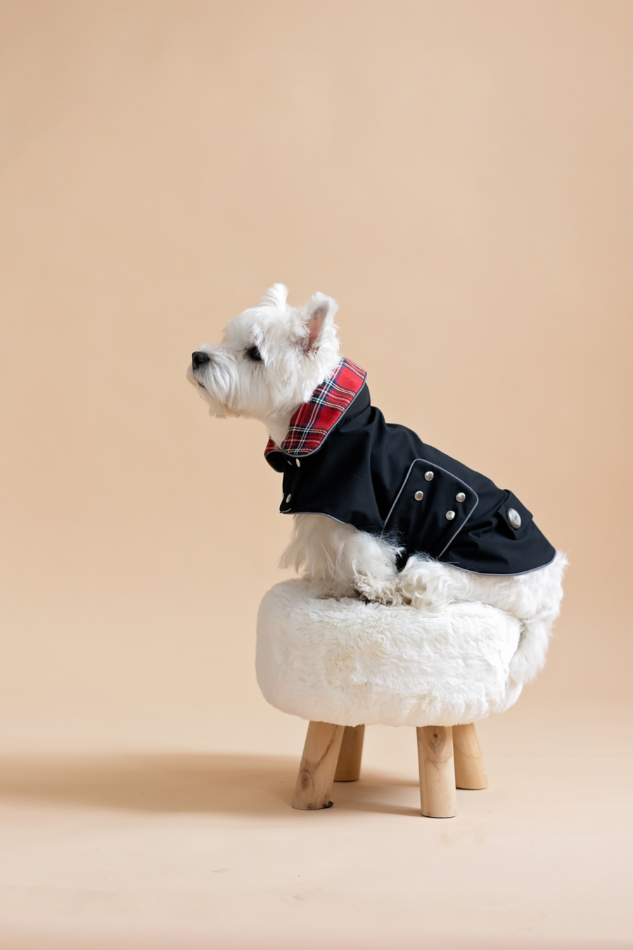 White dog sitting on fur chair wearing Waterproo-f Dog Coat-Dress With Plaid Hood or Collar CiuCiu Bestdograincoats