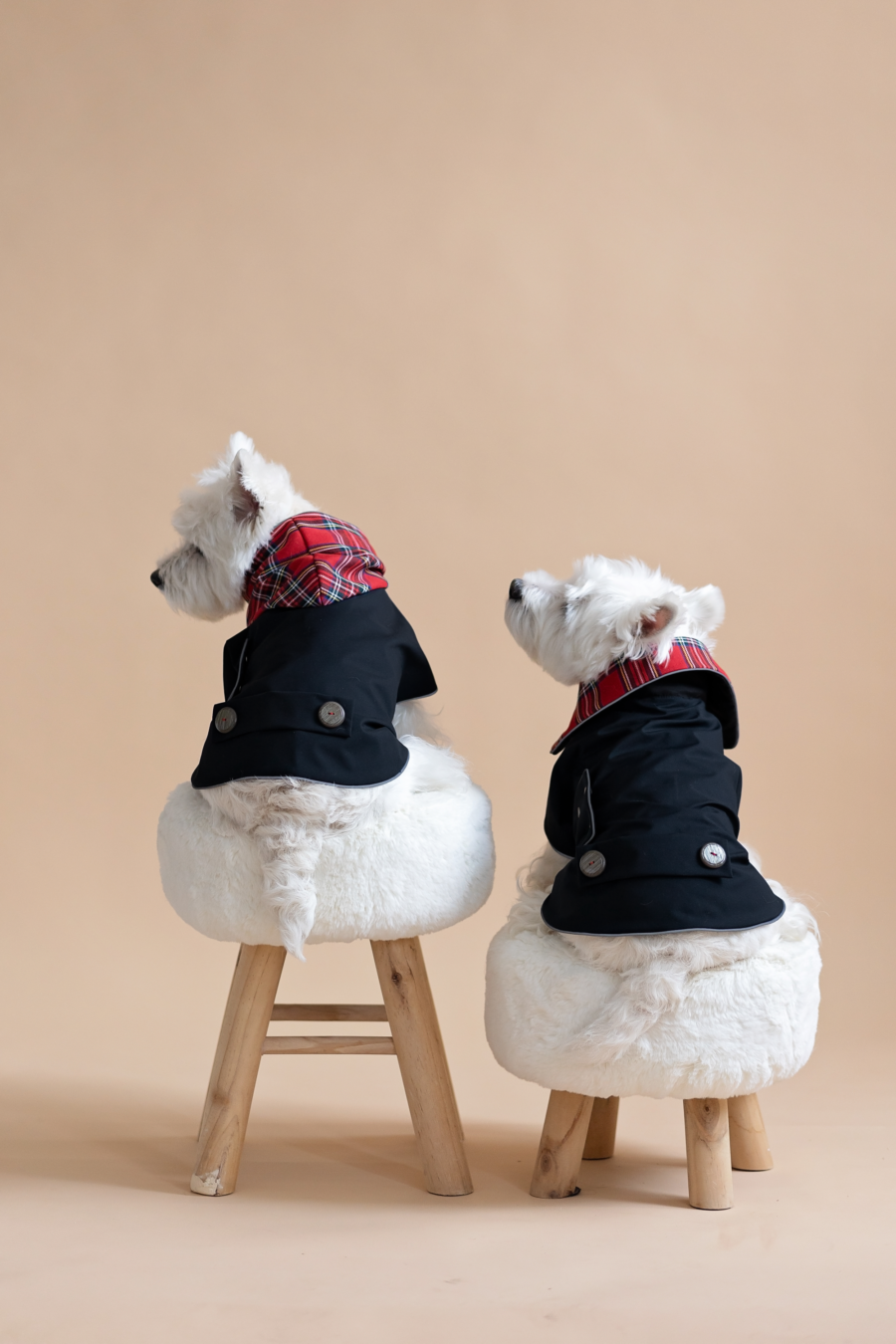 Two white dogs sitting on fur chairs wearing Waterproof Dog Coat-Dress With Plaid Hood or Collar