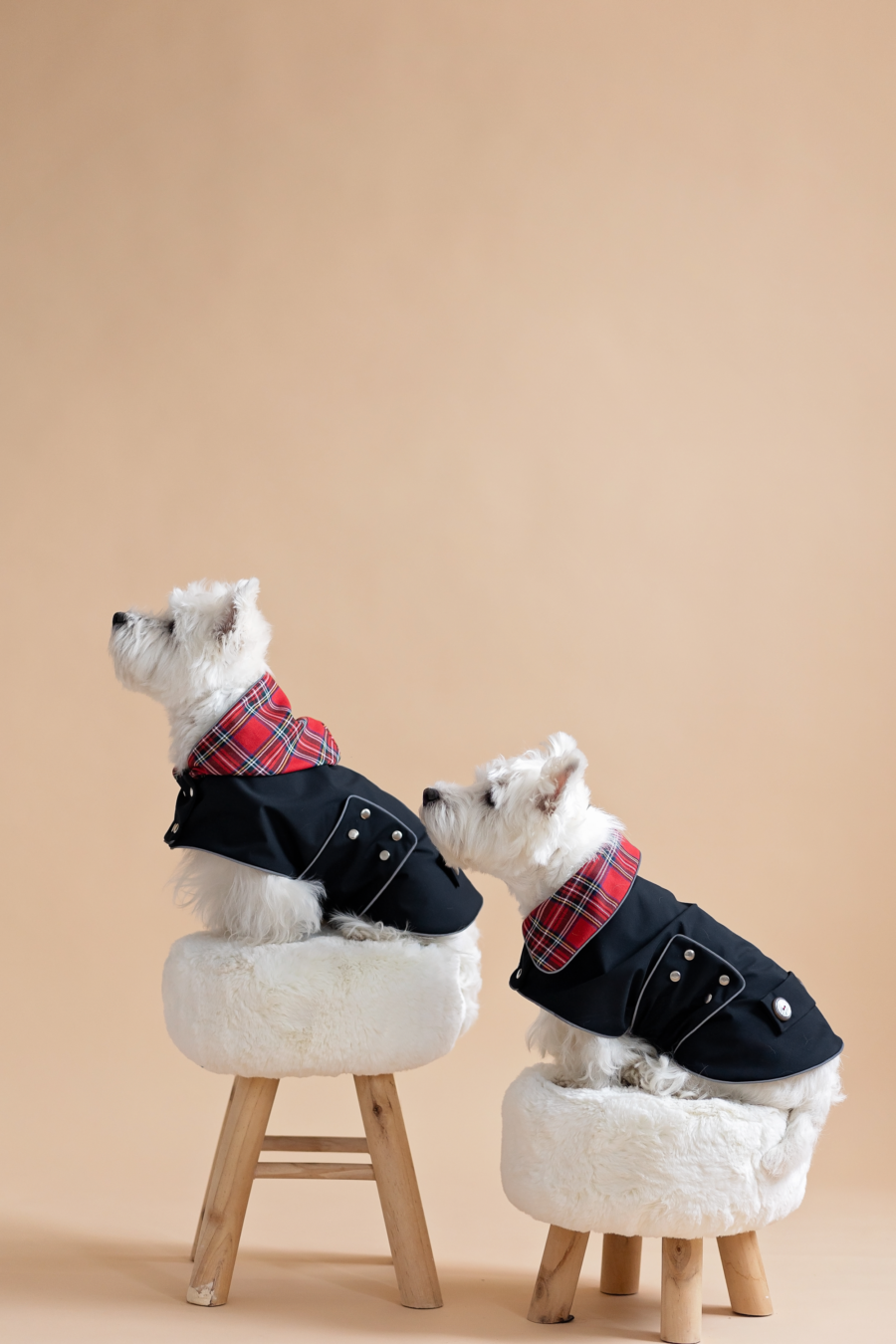 Two white dogs sitting on fur chairs wearing Waterproof Dog Coat-Dress With Plaid Hood or Collar