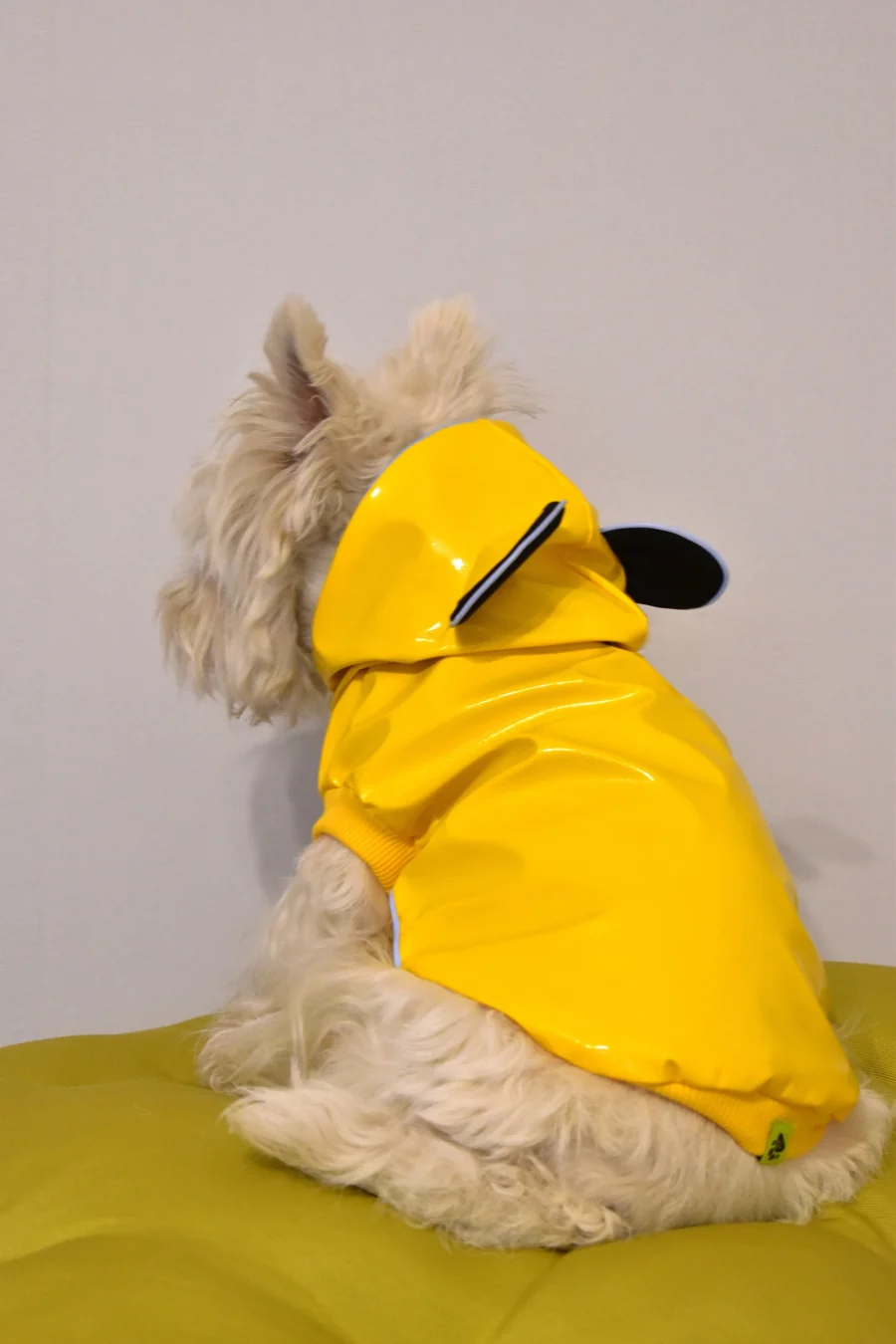 Yellow Vinyl Dog Raincoat Jacket with Bear Ears - Image 3