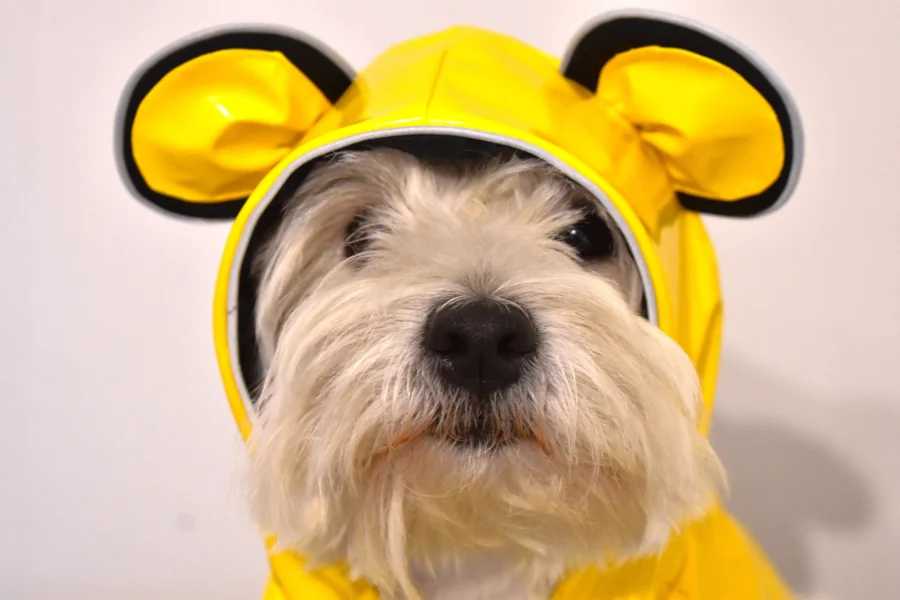 Yellow Vinyl Dog Raincoat Jacket with Bear Ears - Image 2