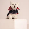 Westie sitting in beige background, wearing jeans coat. ciuciu bestdograincoats