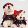 two Westies sitting in beige background, wearing red plaid royal stewart christmas tam and jeans coat. ciuciu bestdograincoats