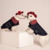 two Westies sitting in beige background, wearing red plaid royal stewart christmas tam and jeans coat. ciuciu bestdograincoats