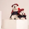 two Westies sitting in beige background, wearing red plaid royal stewart christmas tam and jeans coat. ciuciu bestdograincoats
