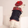 Westie sitting in beige background, wearing red plaid royal stewart christmas tam and jeans coat. ciuciu bestdograincoats