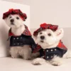two Westies sitting in beige background, wearing red plaid royal stewart christmas tam and jeans coat. ciuciu bestdograincoats