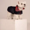 Westie sitting in beige background, wearing jeans coat. ciuciu bestdograincoats