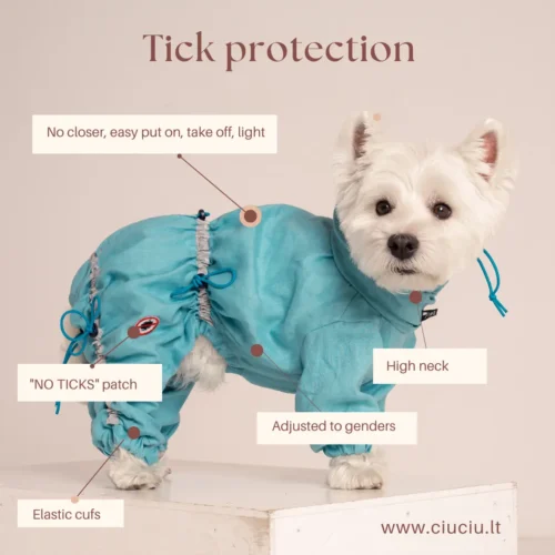 westie in turquous linen overall as protection from ticks with explanation