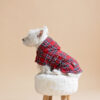White dog sitting on fur chair wearing Plaid Dog Coat-CiuCiu Bestdograincoats