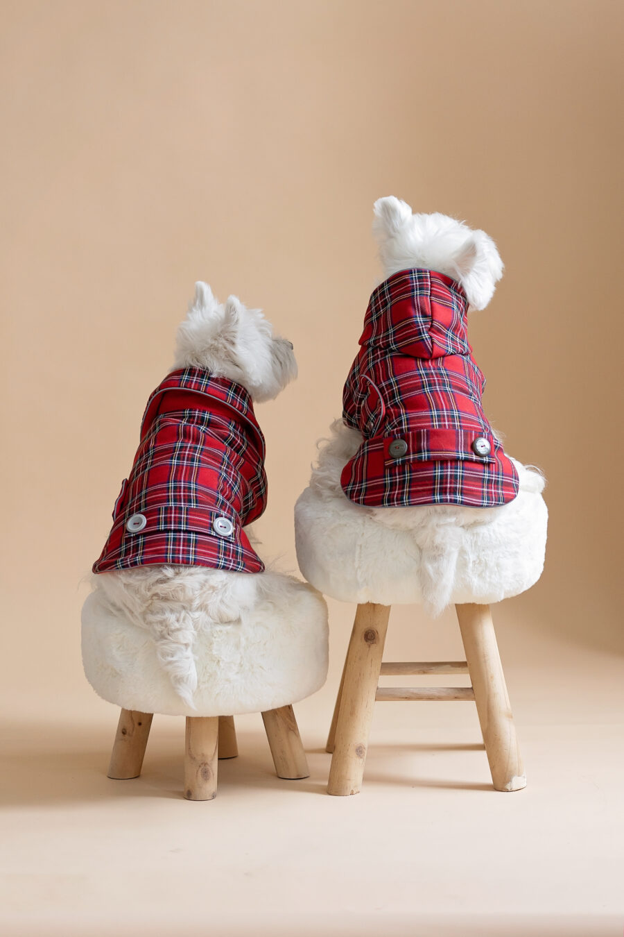 Two white dogs sitting on fur chairs wearing Waterproof Dog Coats With Plaid Hood or Collar