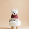White dog sitting on fur chair wearing Plaid Dog Coat-CiuCiu Bestdograincoats