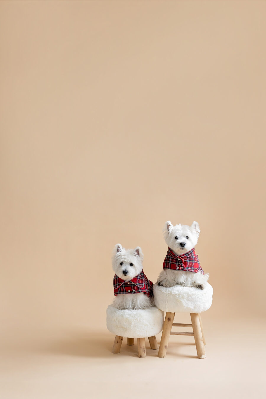 TOP product: Warm Plaid Dog Coat - Image 3