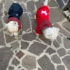 plaid-scottish-dog-coat-ciuciu-bestdograincoats