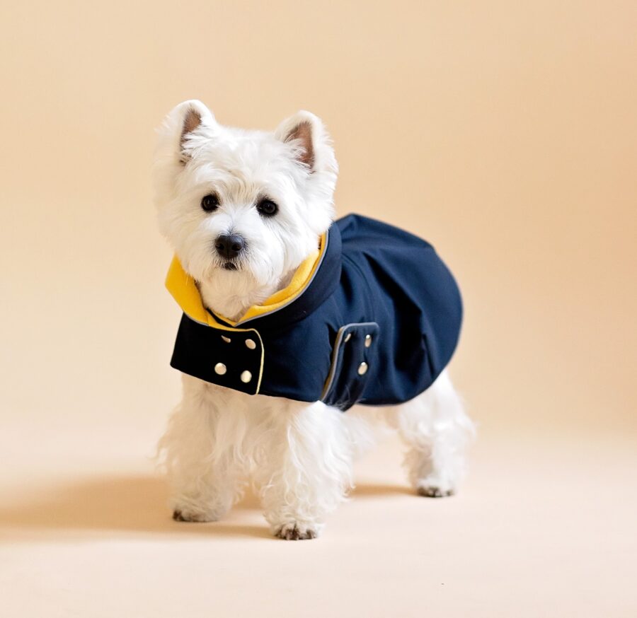 White dog sitting on fur chair wearing Waterproof Dog Coat-Dress With Plaid Hood or Collar