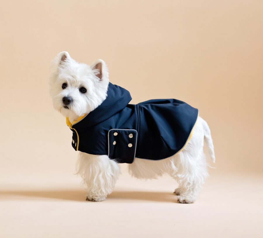 White dog sitting on fur chair wearing Waterproof Dog Coat-Dress With Plaid Hood or Collar