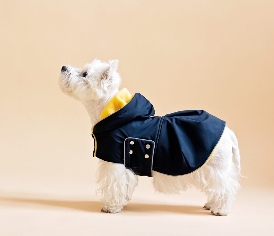 White dog sitting on fur chair wearing Waterproof Dog Coat-Dress With Plaid Hood or Collar