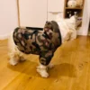 westie-raincoat-jacket-camouflage-waterproof-ciuciu-bestdograincoats