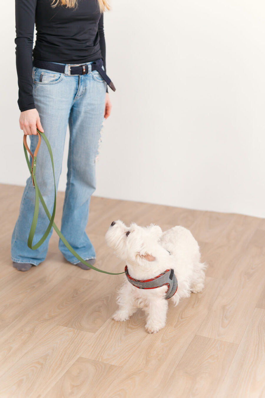 Girl in blue jeans holding biothane leash and westie dog is standing next to her looking at her