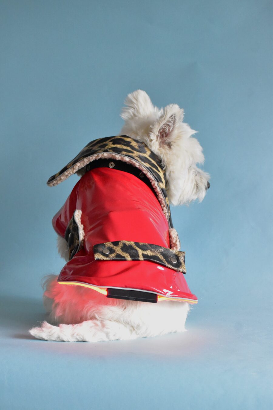 LED-dog-coat-with-changeble-details-ciuciu-bestdograincoats