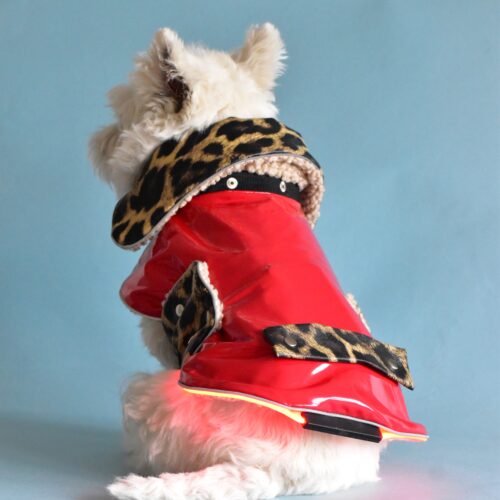 LED-dog-coat-with-changeble-details-ciuciu-bestdograincoats