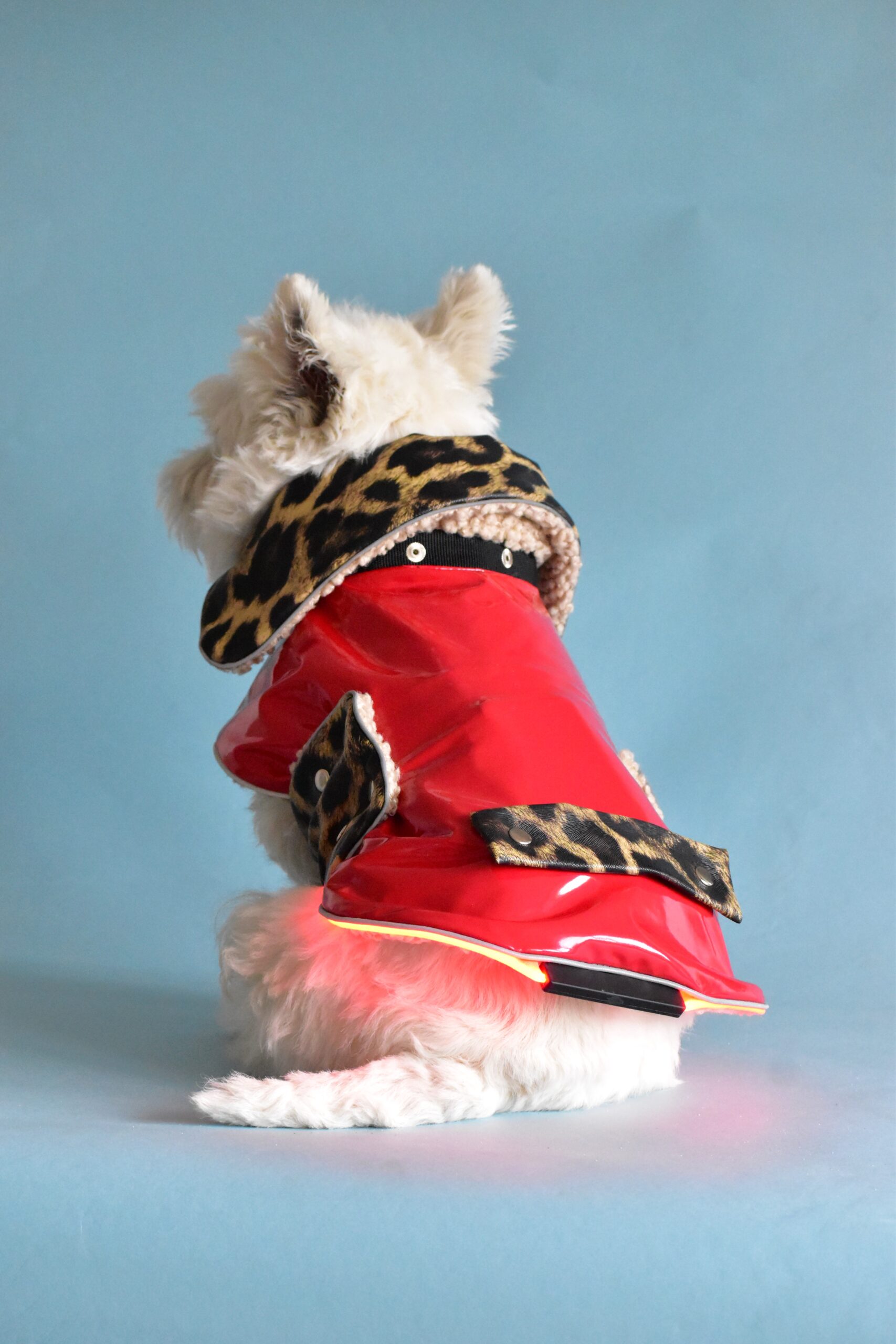 LED-dog-coat-with-changeble-details-ciuciu-bestdograincoats