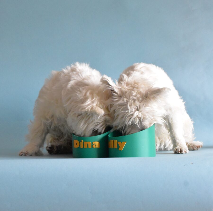 biodegradable-dog-bowl-BestDogRaincoats