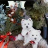 plaid-dog-coat-with-white-collar-bestdograincoats-westie-custom-clothes