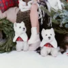 plaid-dog-coat-with-white-collar-bestdograincoats-westie-custom-clothes